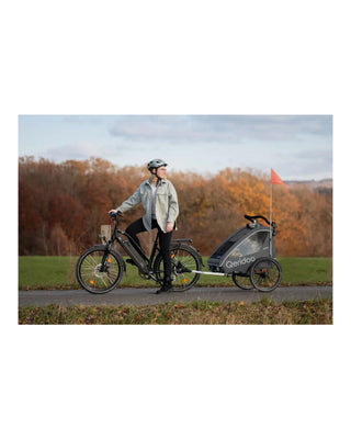 Fahrradanhänger – Qeridoo – Qupa 1 – Gray