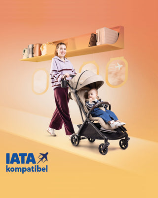 Reisebuggy – Joie – Porto – Raven