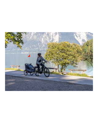 Fahrradanhänger – Qeridoo – Qupa 2 – Gray